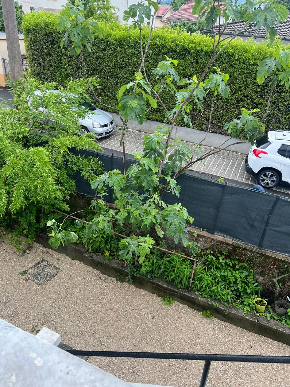 Appartement La Soie Rhut